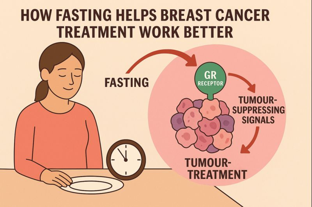 How Fasting Helps Breast Cancer Treatment Work Better: The Science Behind a Simple Idea